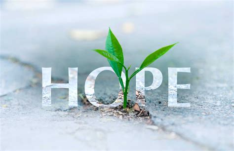 hope    needed  grow  thrive sca