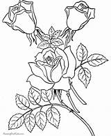 Coloring Pages Valentine Valentines Color Help Printing Flowers Kids sketch template