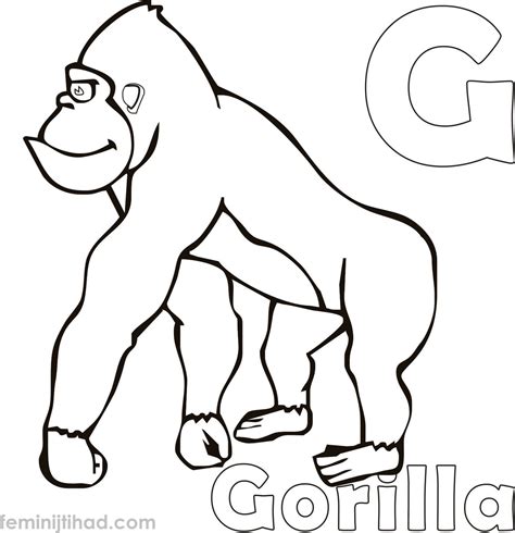 gorilla coloring pages  printable coloringfoldercom coloring