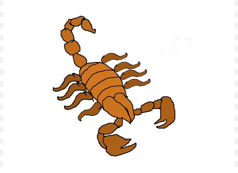 scorpion animation clip art png xpx scorpion animal figure