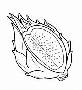 Dragon Fruit Drawing Coloring Pages Clipart Printable Kids Desenhos Para Fruits Colorir Getdrawings sketch template