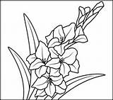 Gladiolus Flower Printables Gladiolas Gladioli Coloritbynumbers Cliparts sketch template