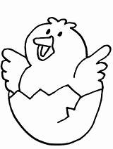 Chick Coloring Pages Kids sketch template