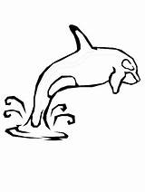 Dolphin Cartoon Coloring Pages Popular sketch template