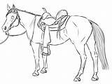 Horse Drawing Cowboy Western Lineart Rider Deviantart Drawings Riding sketch template