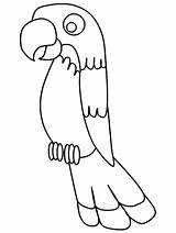 Parrot Cartoon Drawing Coloring Getdrawings Print sketch template