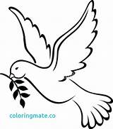 Dove Peace Coloring Pages Getcolorings Color Printable sketch template