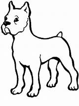 Boxer Dog Coloring Pages Baby Drawing Puppy Color Print Getcolorings Getdrawings Button Through sketch template