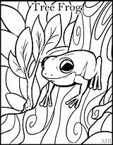 Tree Frogs Frog Coloring Pages Printable Drawing Kids Coqui Adults Red Clipart Cute Outline Eyed Print Realistic Sheets Color Green sketch template