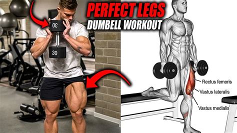 Perfect Dumbell Legs Workout 💪 5 Exercises Youtube