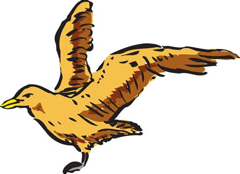 view bird flying wings side png picpng