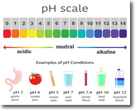 What Is Oral Ph And How Does It Affect Your Health