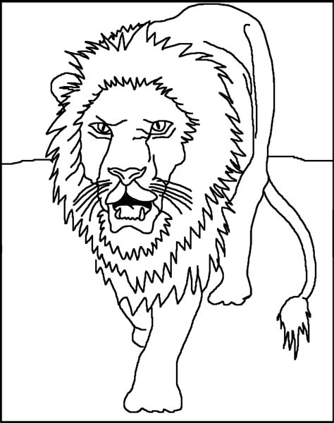 lion  coloring pages  kids printable colouring sheets