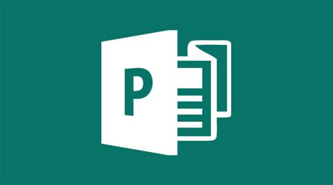 microsoft publisher computer business review