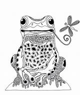 Zentangle Frog Coloring Efie Goes Pages Afkomstig Van sketch template