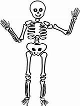 Squelette Esqueleto Esqueletos Calaveras Colorier Bones Muertos Pictogramme Skeletons sketch template