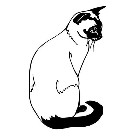 printable siamese cat coloring pages jibranraylie