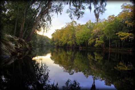 snorkeling ginnie springs high springs florida  legendary adventures  anna