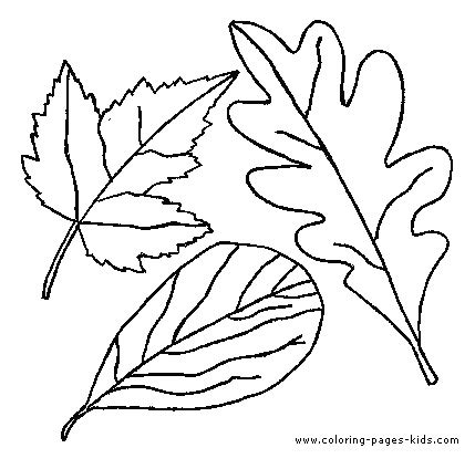 printable leaf coloring pages print color craft