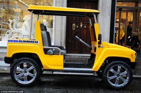 true   brother   gas guzzling hummer   electricity powered eco car