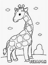 Mewarnai Binatang Diwarnai Lucu Anakcemerlang Giraffe sketch template