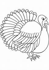 Turkey Coloring Pages Printable Template Realistic Disguise Kids Print Color Templates Animal Getcolorings Please Everfreecoloring sketch template