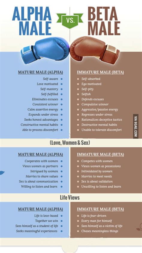 Alpha Male Vs Beta Male Which One Is You 9gag