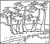 Coconut Coloring Outline Pages Palms Tree Silhouettes Printable sketch template