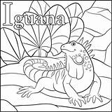 Iguana Vector Coloring Clip Cartoon Illustrations Similar Top sketch template