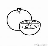 Tangerine Fruits sketch template