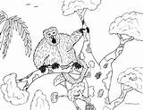 Monkey Howler Coloring Pages Spider Robin Great Getcolorings Daring sketch template