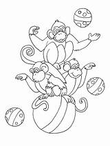 Macacos Alguns Colorido sketch template