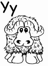 Yak Coloring Pages Preschool Kids Sprout Letter Pbs Print Projects Template Printables Kindergarten Alphabet Crafts Popular Yarn Cattle Designlooter Coloringhome sketch template