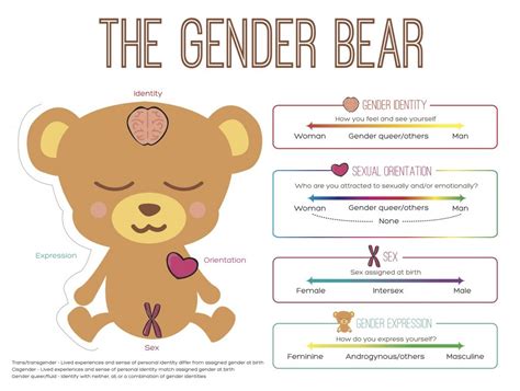 The Gender Bear Transgender India