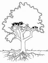 Tree Coloring Pages Roots Kids Ume Colouring Trees Getdrawings Stands Kleurplaten Seen Detail Adult sketch template