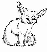 Fennec Netart Foxes 收藏自 Getdrawings Coloring sketch template