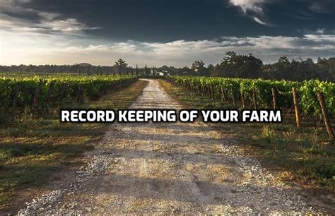 keeping farm records  beginners guide agri farming