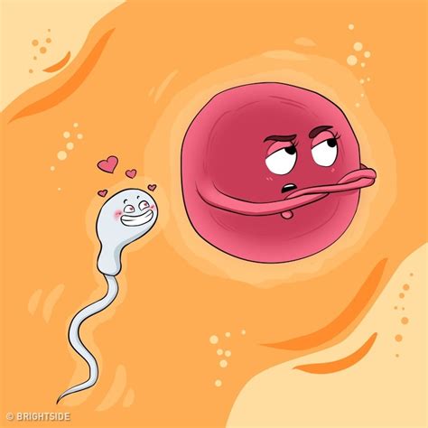 did you know that the female egg chooses the sperm and not the other way around