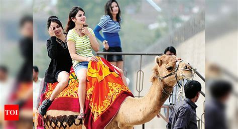 rajasthan heritage hoteliers shift focus to desi tourists jaipur news