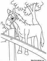 Horse Coloring Pages Cartoon Bestcoloringpages Relaxing Time Color Kids Dog Farm Sheets sketch template