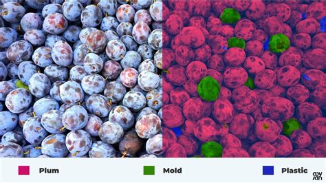 benefits  hyperspectral imaging  food quality assurance