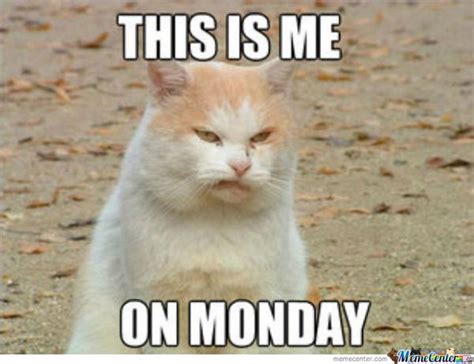 happy monday meme funny it s monday pics and images