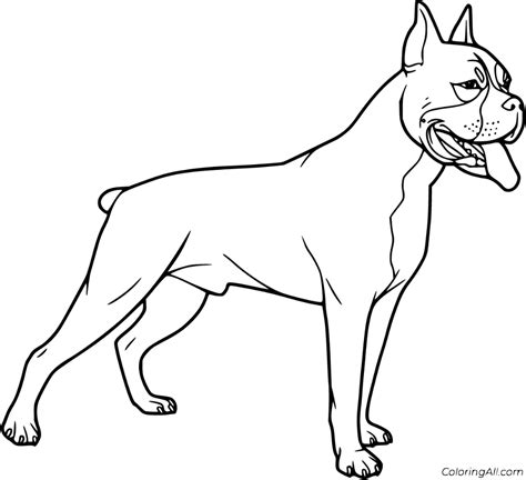 printable boxer dog coloring pages easy  print