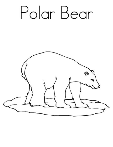 polar bear coloring sheet coloringmecom
