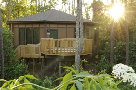 tree house villas  saratoga springs resort magical distractions
