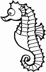 Seahorse Coloring Pages Kids Print Search Animals Again Bar Case Looking Don Use Find sketch template