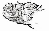 Devil Thorny Coloring Drawing Lizard Designlooter Ol Sketch Drawings Template 192px 5kb sketch template