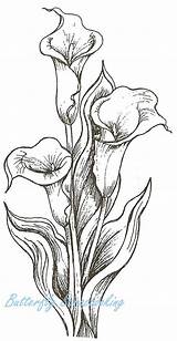 Fiori Bouquet Calla Lilies Disegnare Malen Dipinti Illustrazioni Line Visitar Bouquets Rubber Artistici Schizzi Arredare sketch template