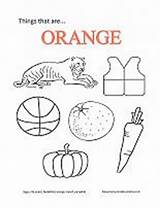Orange Coloring Preschool Color Pages Activities Colors Printable Learning sketch template