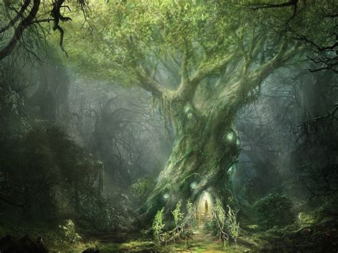 artwork fantasy magical art forest tree landscape nature wallpapers hd desktop